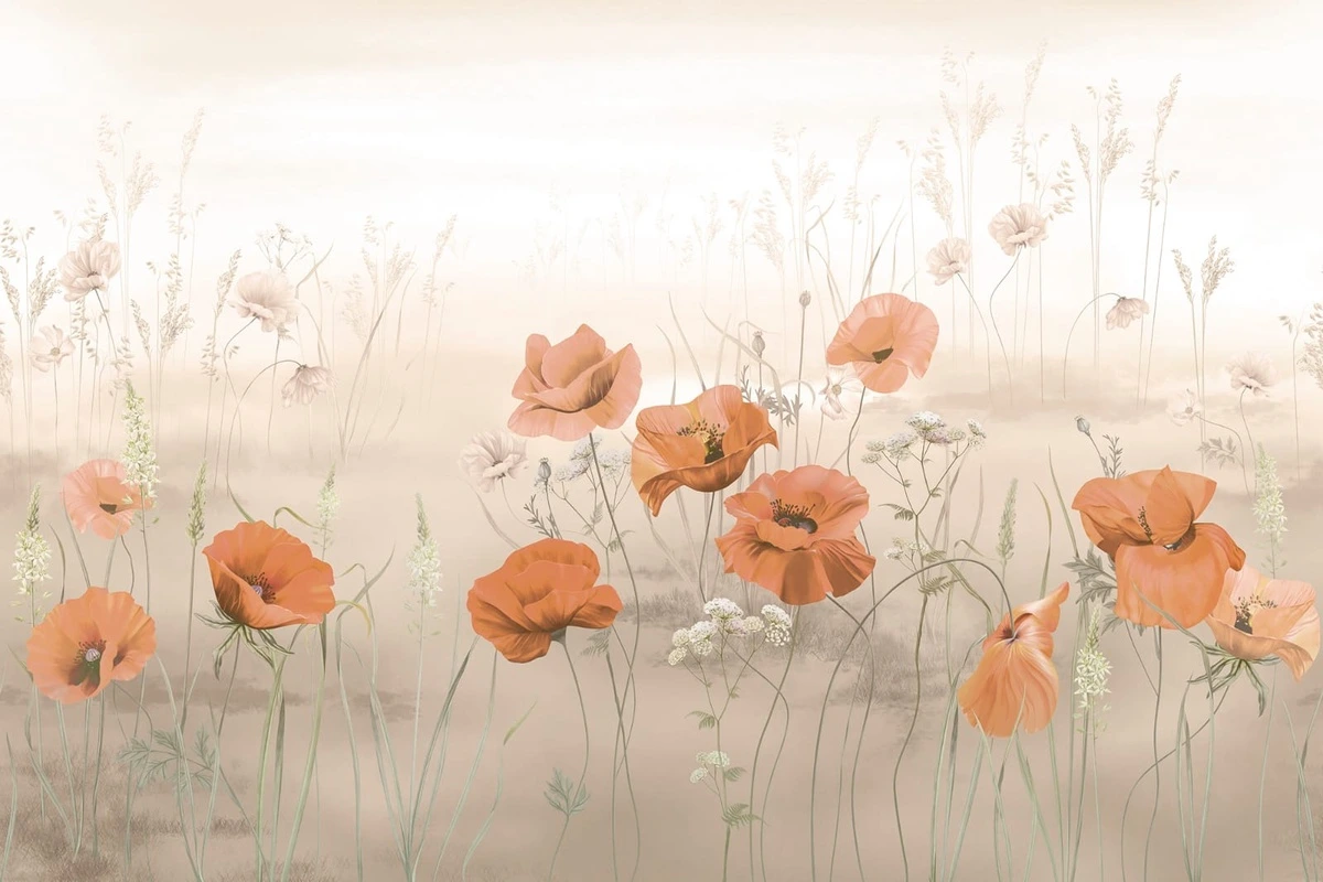 Фотообои на стену - цветы, маки, оранжевая, на бежевом фоне, на розовом фоне