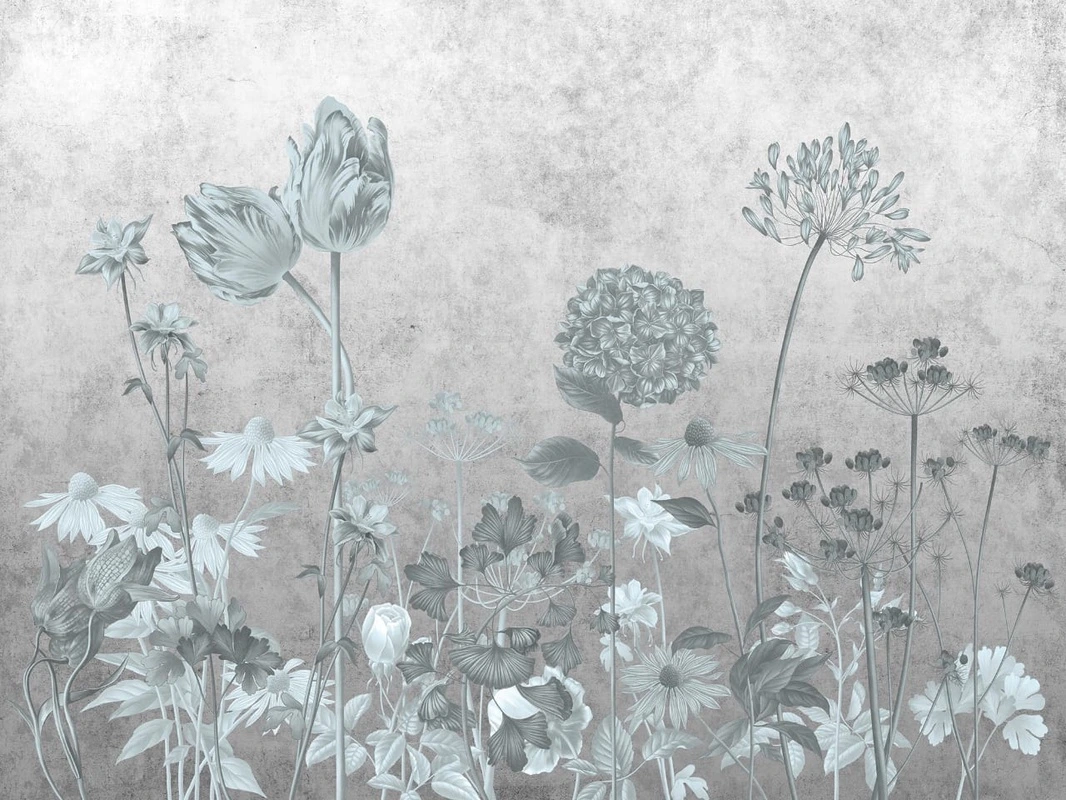 Фотообои на стену - цветы, серая, полевые, светлые, поляна