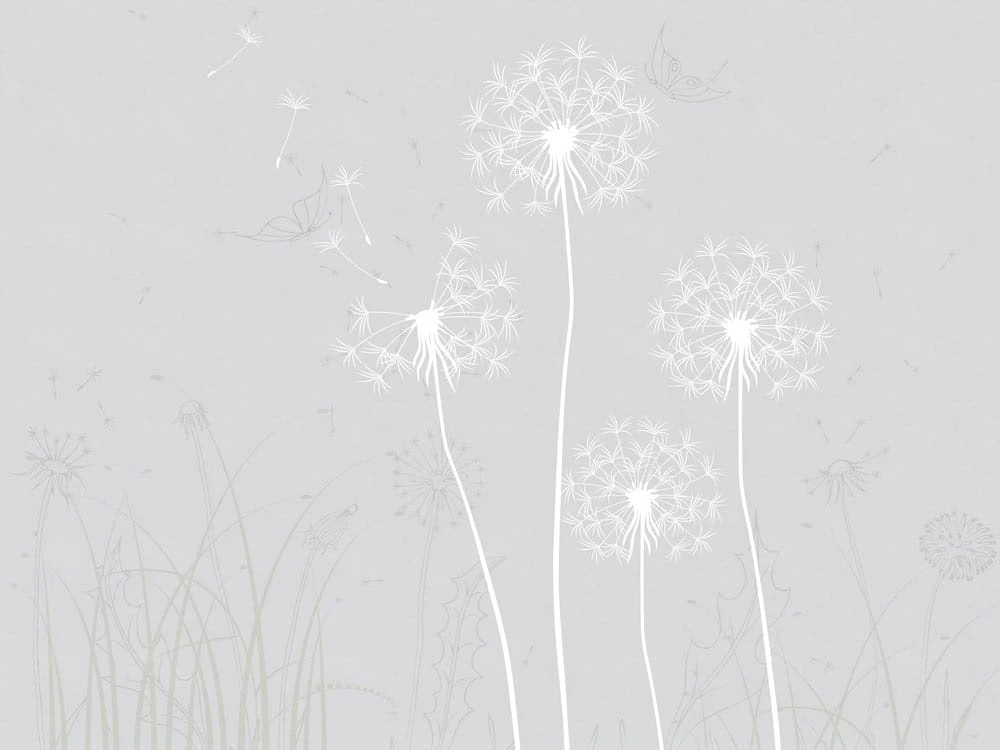 Фотообои на стену - цветы, минимализм, серая, одуванчики