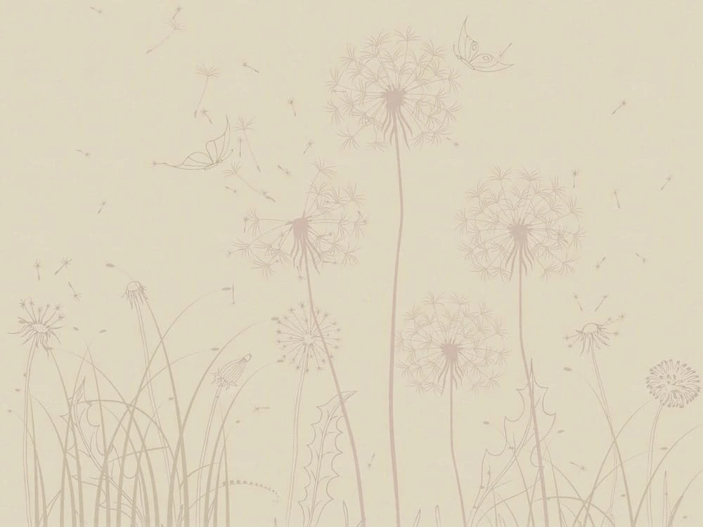 Фотообои на стену - цветы, минимализм, бежевые, одуванчики