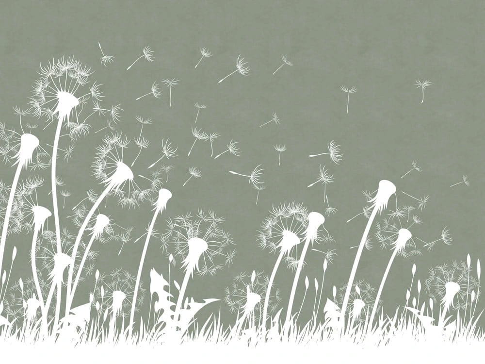 Фотообои на стену - цветы, графика, одуванчики, болотная, белые, серо-зеленая