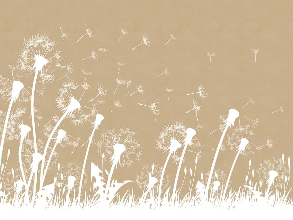 Фотообои на стену - цветы, графика, одуванчики, светло коричневая