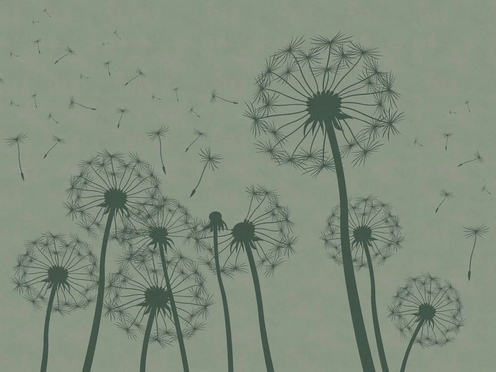 Фотообои на стену - цветы, графика, одуванчики, черные, серая