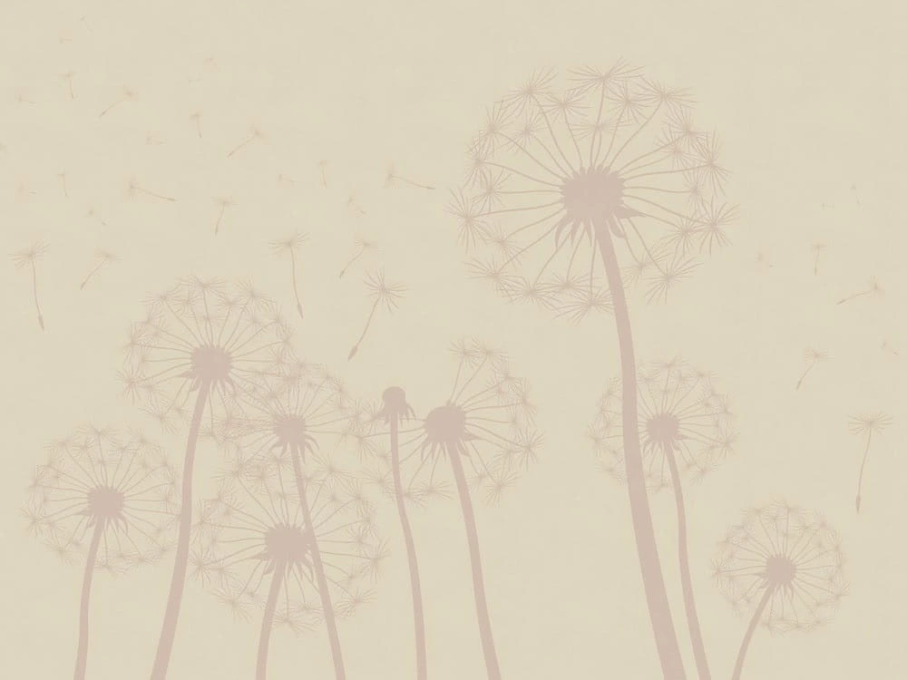 Фотообои на стену - цветы, графика, одуванчики, коричневая, бежевые