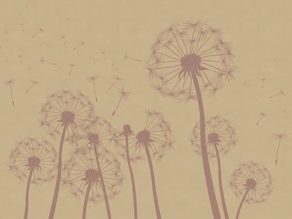 Фотообои на стену - цветы, графика, одуванчики, коричневая, песочная