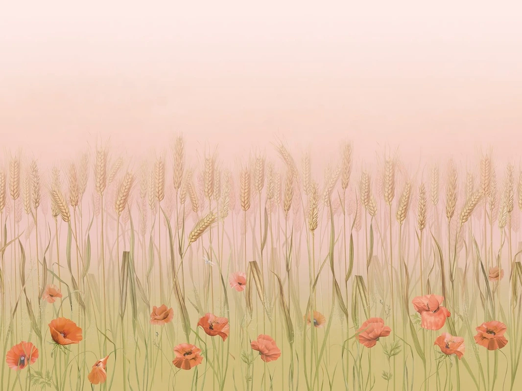 Фотообои на стену - цветы, поле, колосья, маки, красные, розовая, салатовая
