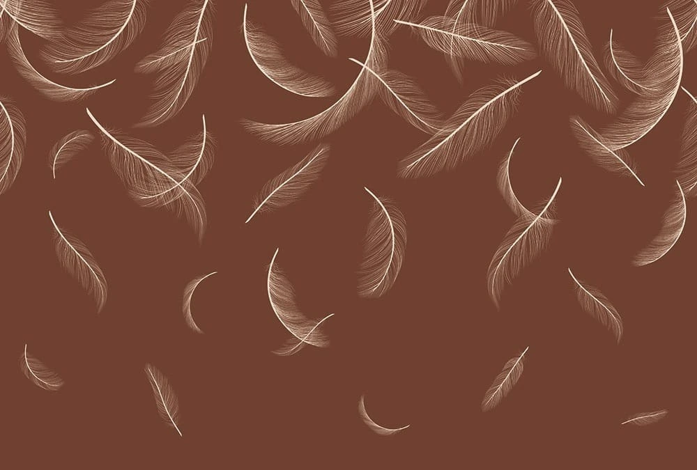 Фотообои на стену - графика, перья, темные, золотые линии, коричневая