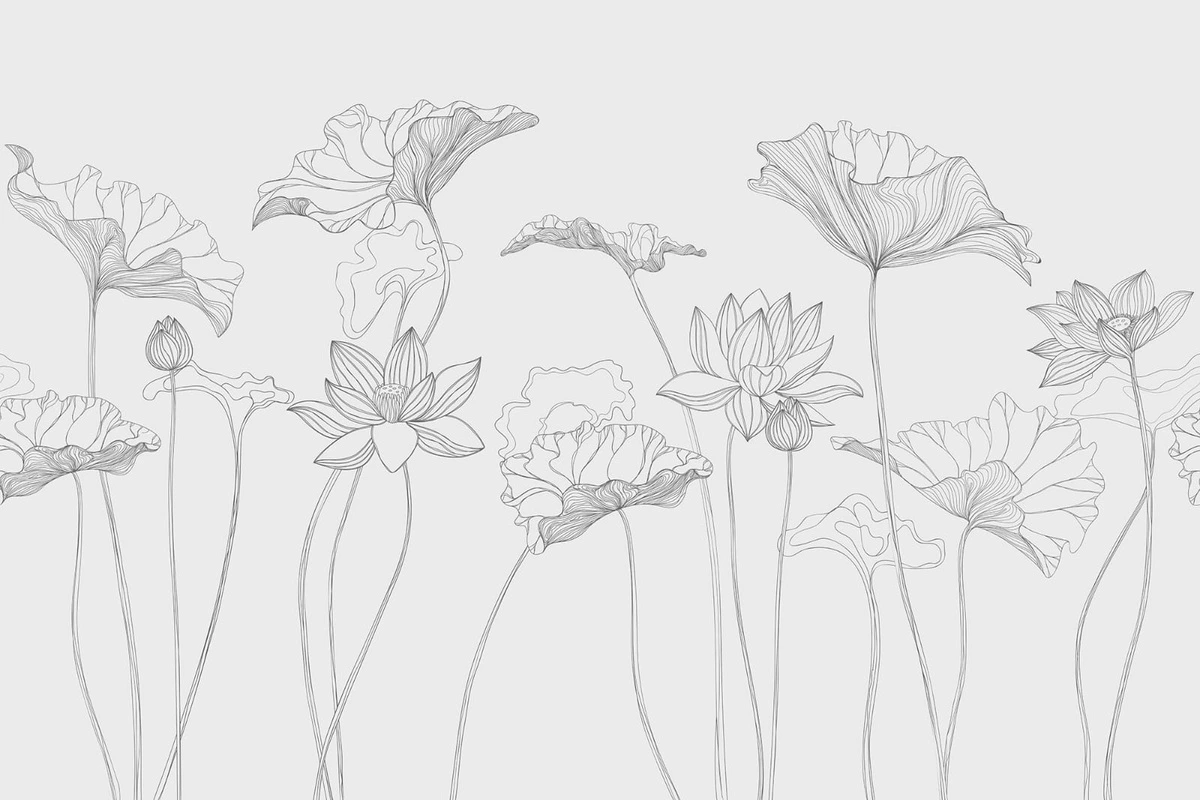 Фотообои на стену - графика, лотосы, листья, серая, линии, светлые