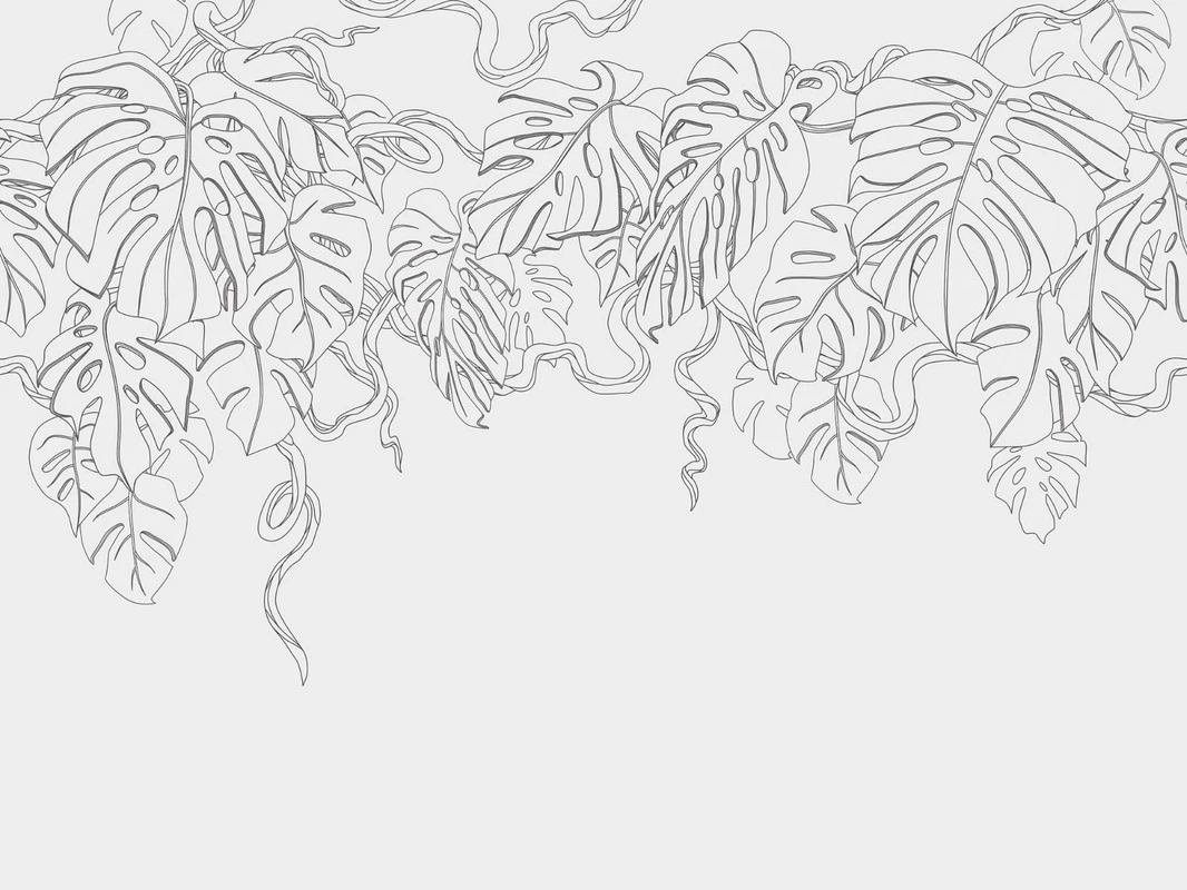 Фотообои на стену - графика, светло серая, листья, тропические, свисающие, светлые