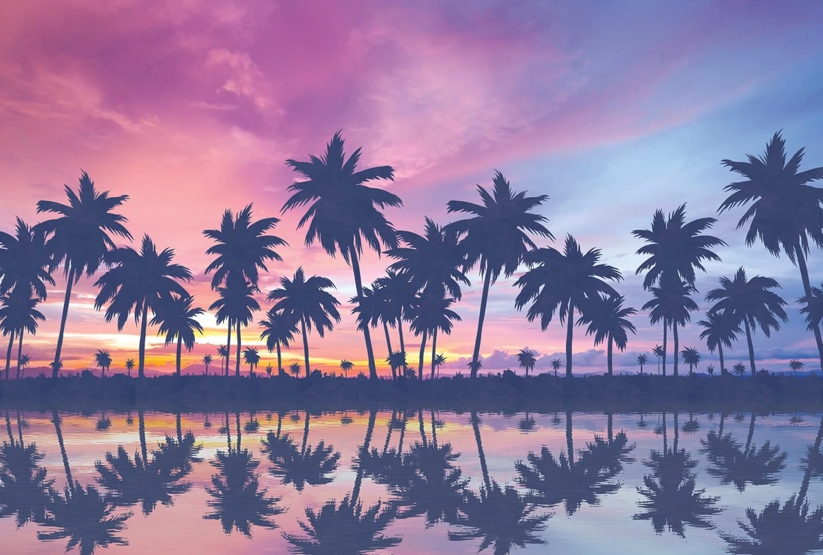 Фотообои на стену - пейзаж, пальмы, закат, море, сиреневая, темно синяя