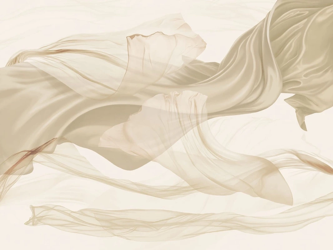 Фотообои и фрески на стену - графика, бежевые, вуали, темно бежевые