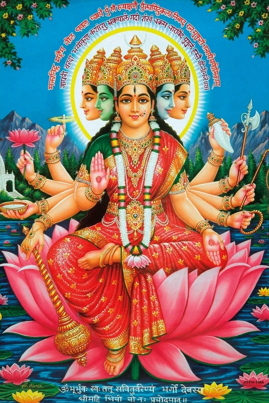 Фотообои и фрески на стену - в гостиницу, восточные, индийские, розовая, ярко розовые