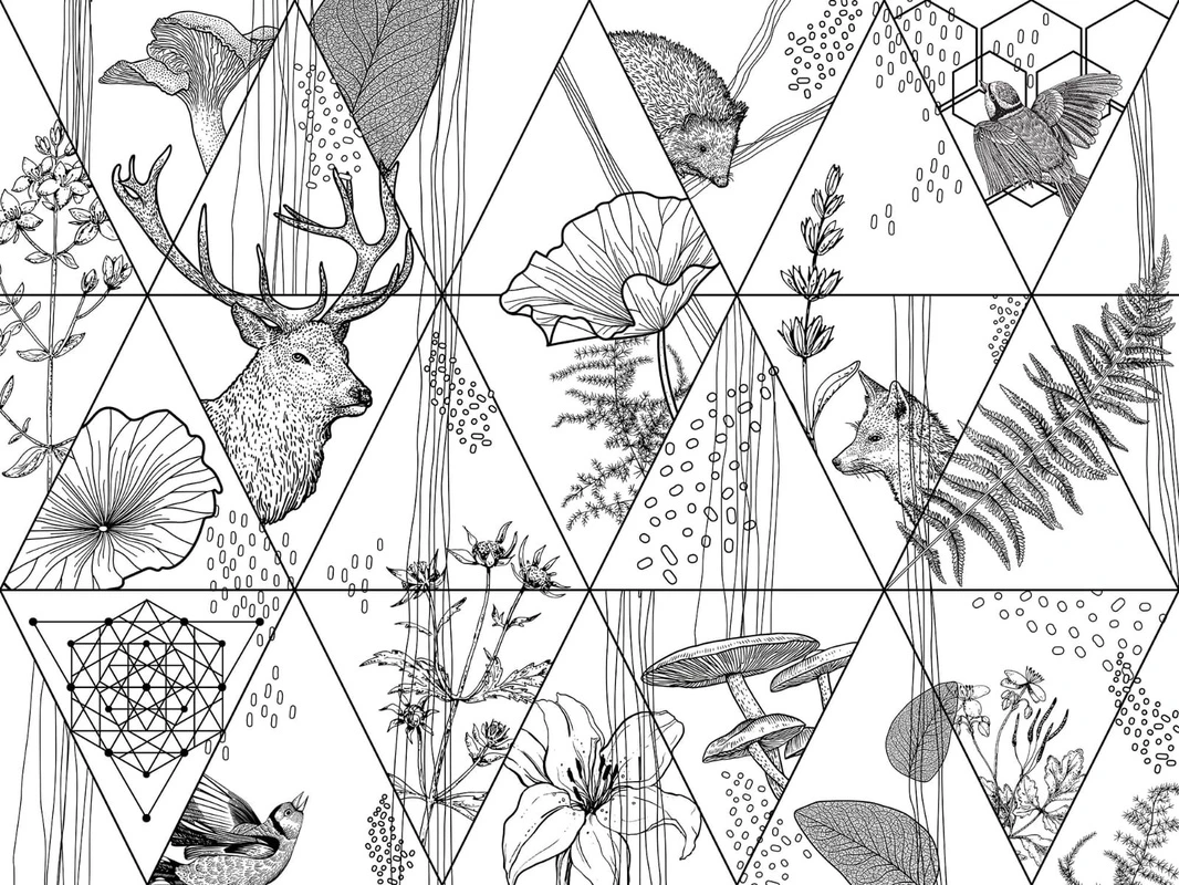 Фотообои и фрески на стену - геометрия, черно-белые, треугольники, линии, звери