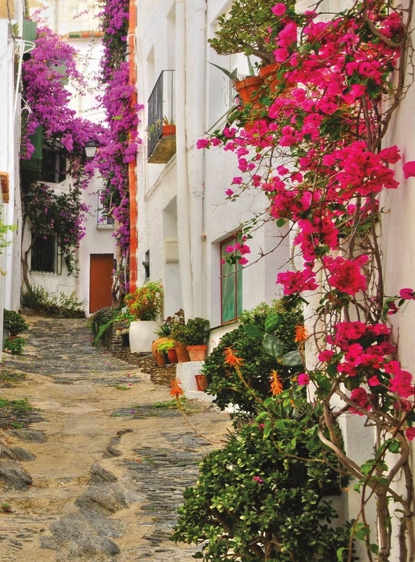 Фотообои на стену - улочки, европейские, в цветах, розовая