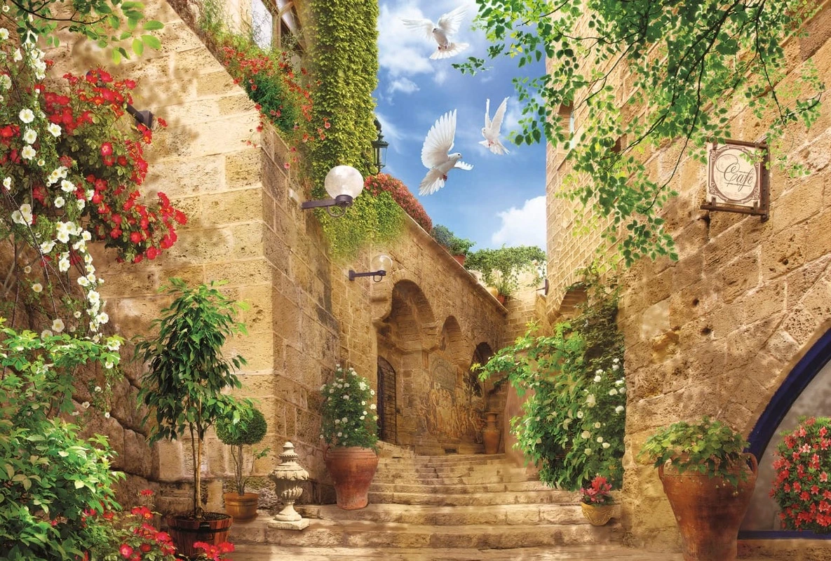 Фотообои и фрески на стену - улочки, европейские, голуби