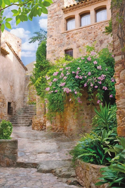 Фотообои и фрески на стену - улочки, европейские, с цветами и зеленью