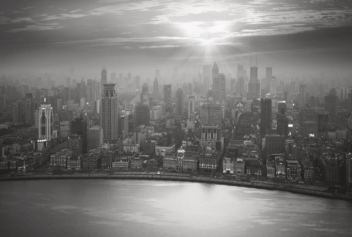 Фотообои и фрески на стену - в офис, мегаполис, город, черно-белые, панорама из окна, серые