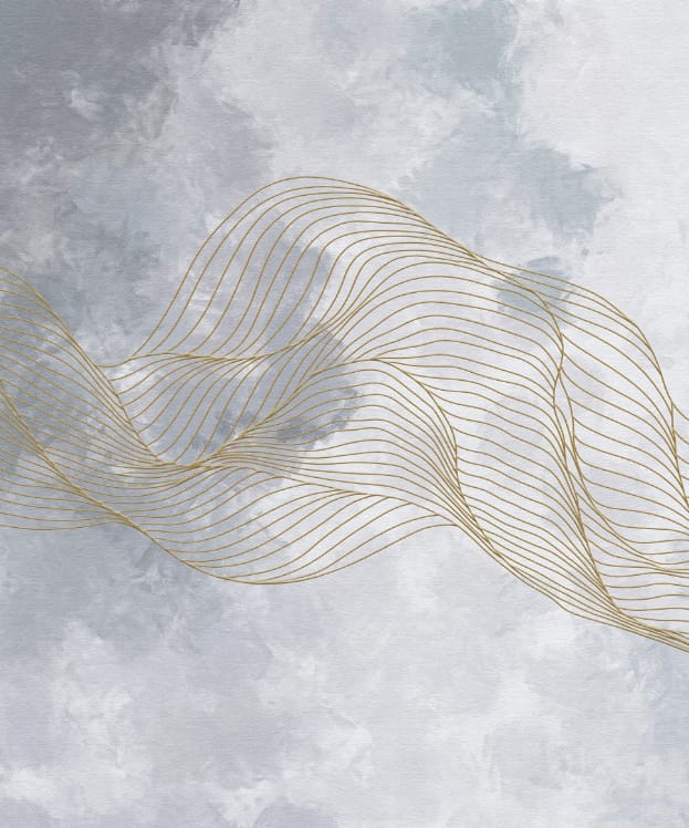 Фотообои и фрески на стену - флюиды, серые, золотые линии