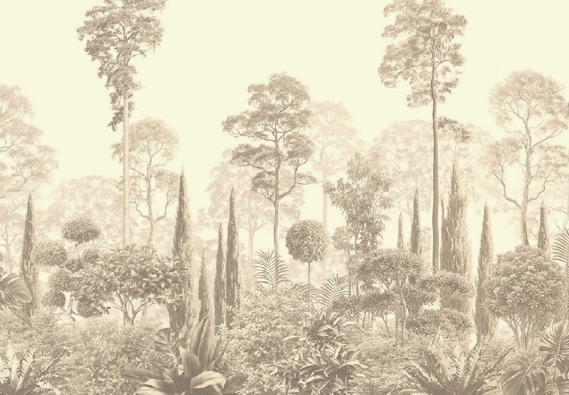 Фотообои и фрески на стену - графика, кремовые, тропики, лес, деревья, парк