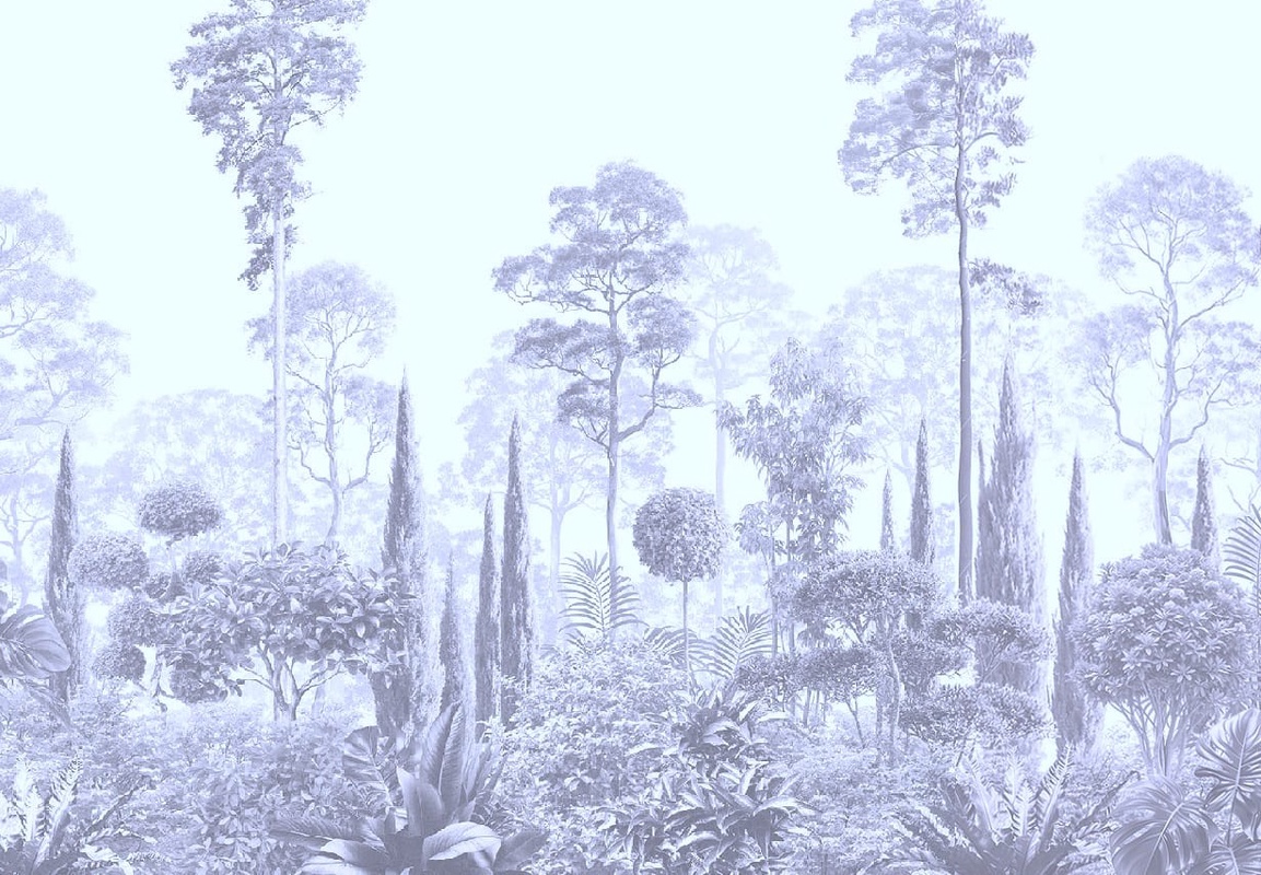 Фотообои и фрески на стену - графика, голубая, синий, тропики, лес, деревья, парк