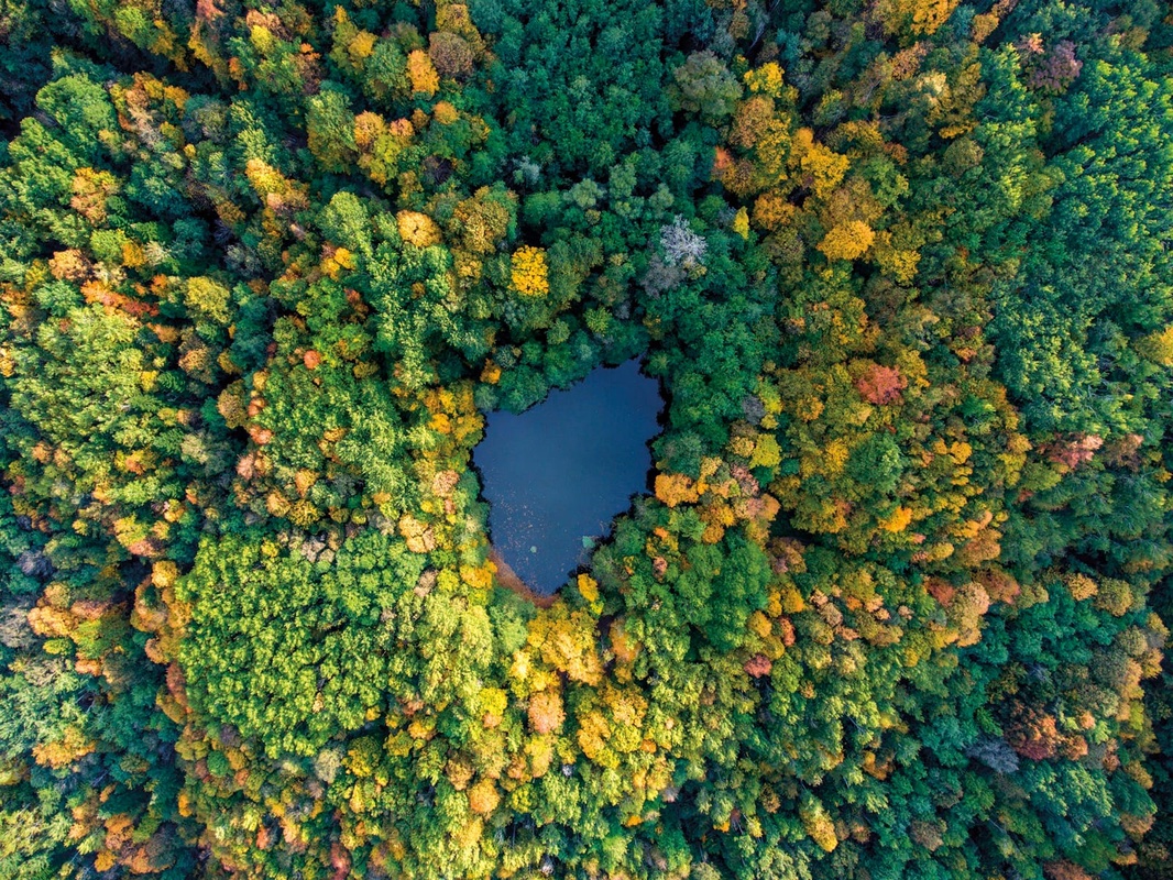 Фотообои на стену - пейзаж, горы, озеро, желто-зеленая