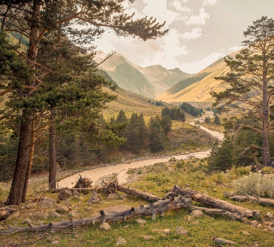 Фотообои на стену - пейзаж, горы, лес, дорога