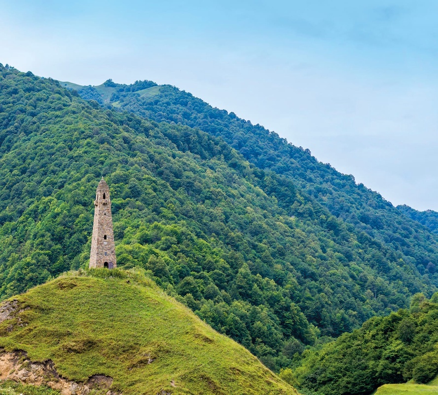 Фотообои и фрески на стену - пейзаж, горы, лес, зеленая
