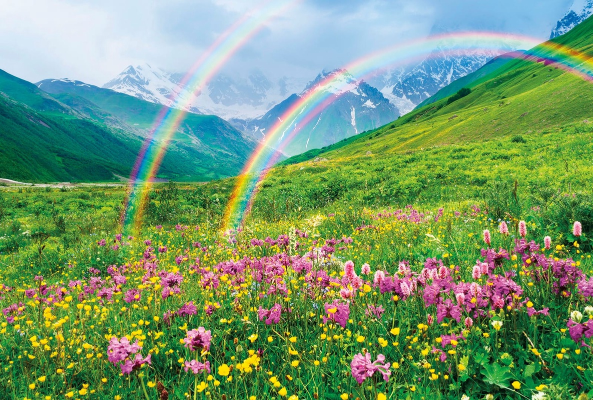 Фотообои и фрески на стену - пейзаж, горы, с цветами, с радугой