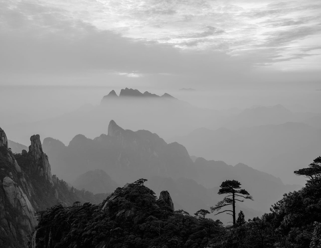 Фотообои и фрески на стену - пейзаж, горы, лес, дерево, черно-белые, серые, горы в тумане