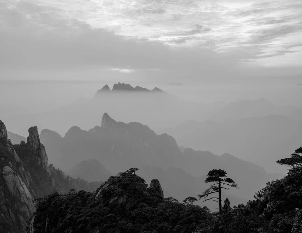 Фотообои и фрески на стену - пейзаж, горы, лес, дерево, черно-белые, серые, горы в тумане