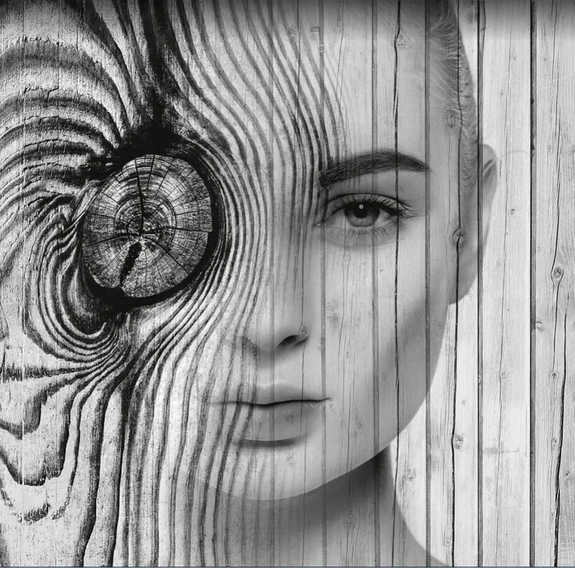 Фотообои и фрески на стену - молодежные, девушка, черно-белые, рисунок дерева