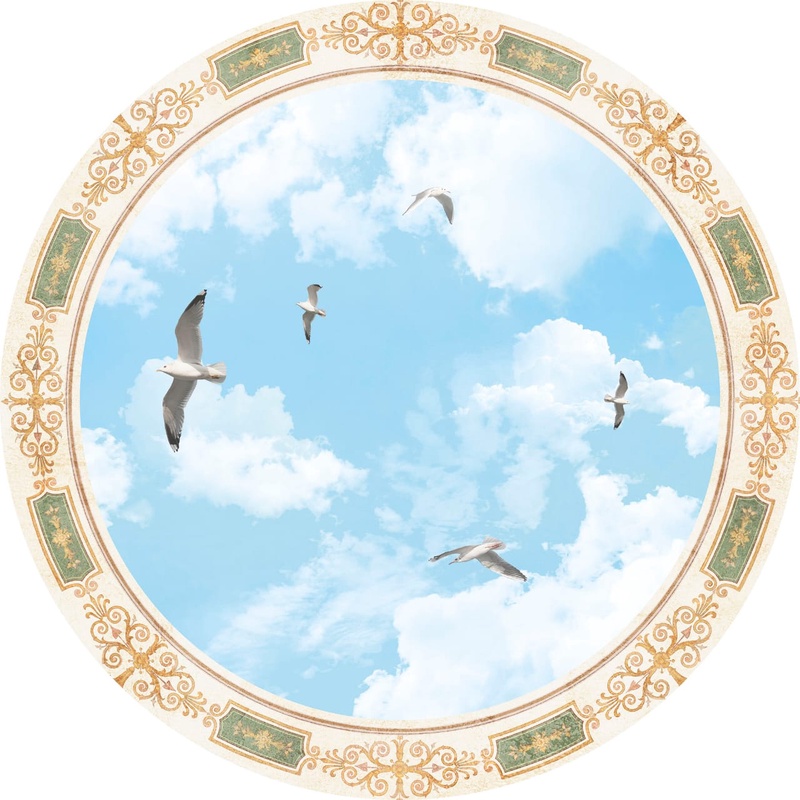 Фотообои и фрески на стену - потолок, круглый, большой, небо, птицы