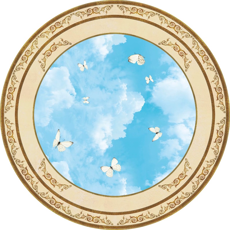 Фотообои на стену - потолок, круглый, небо, с бабочками