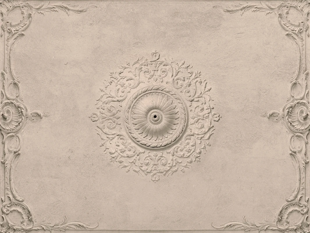 Фотообои и фрески на стену - потолок, с лепниной, бежевые, с розеткой