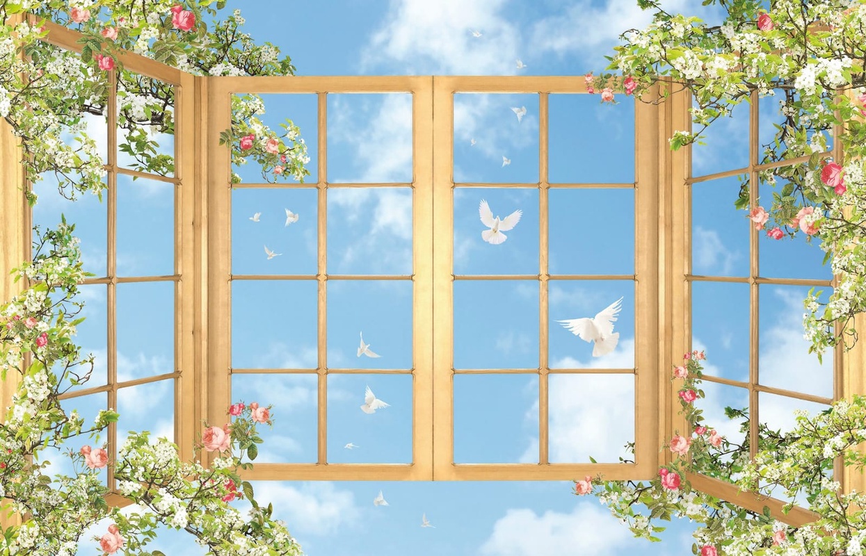 Фотообои и фрески на стену - потолок, с решеткой, с окном, небо