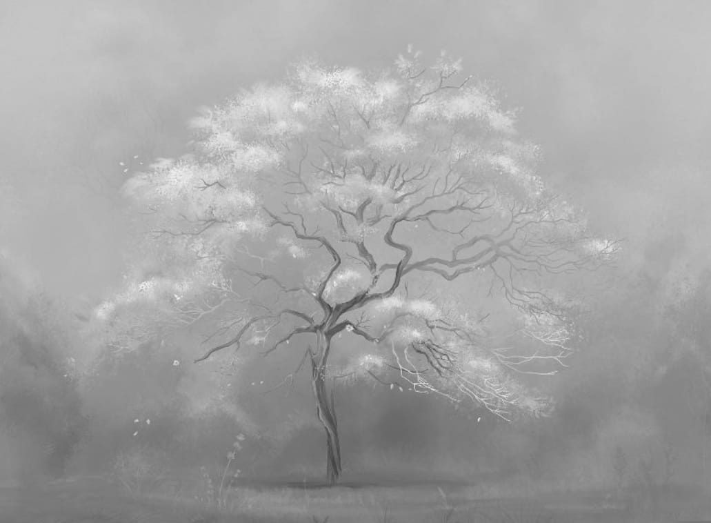 Фотообои на стену - современные, дерево, на сером фоне, белое