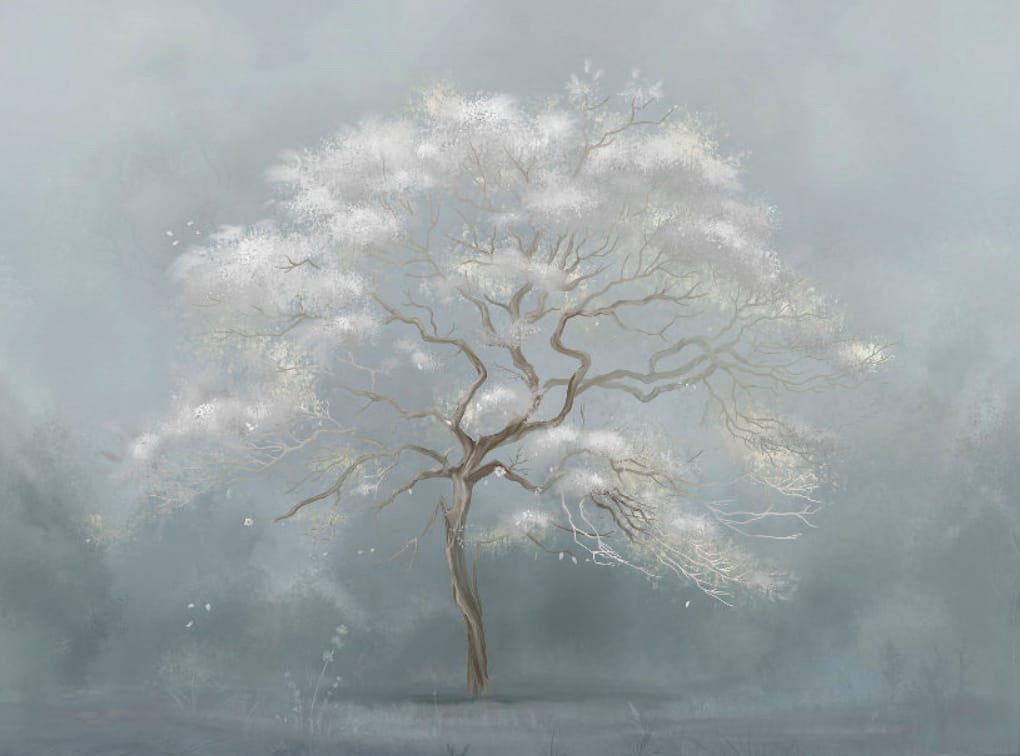 Фотообои на стену - современные, дерево, голубая, белое