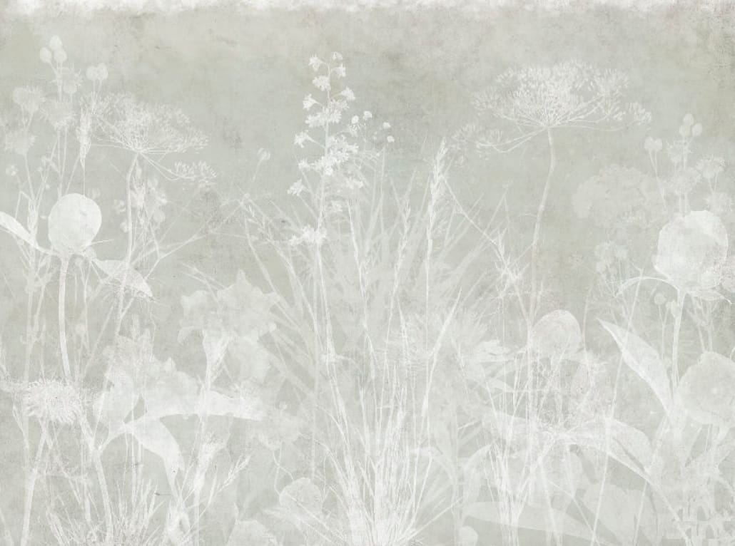 Фотообои и фрески на стену - современные, светло бежевые, трава крупная