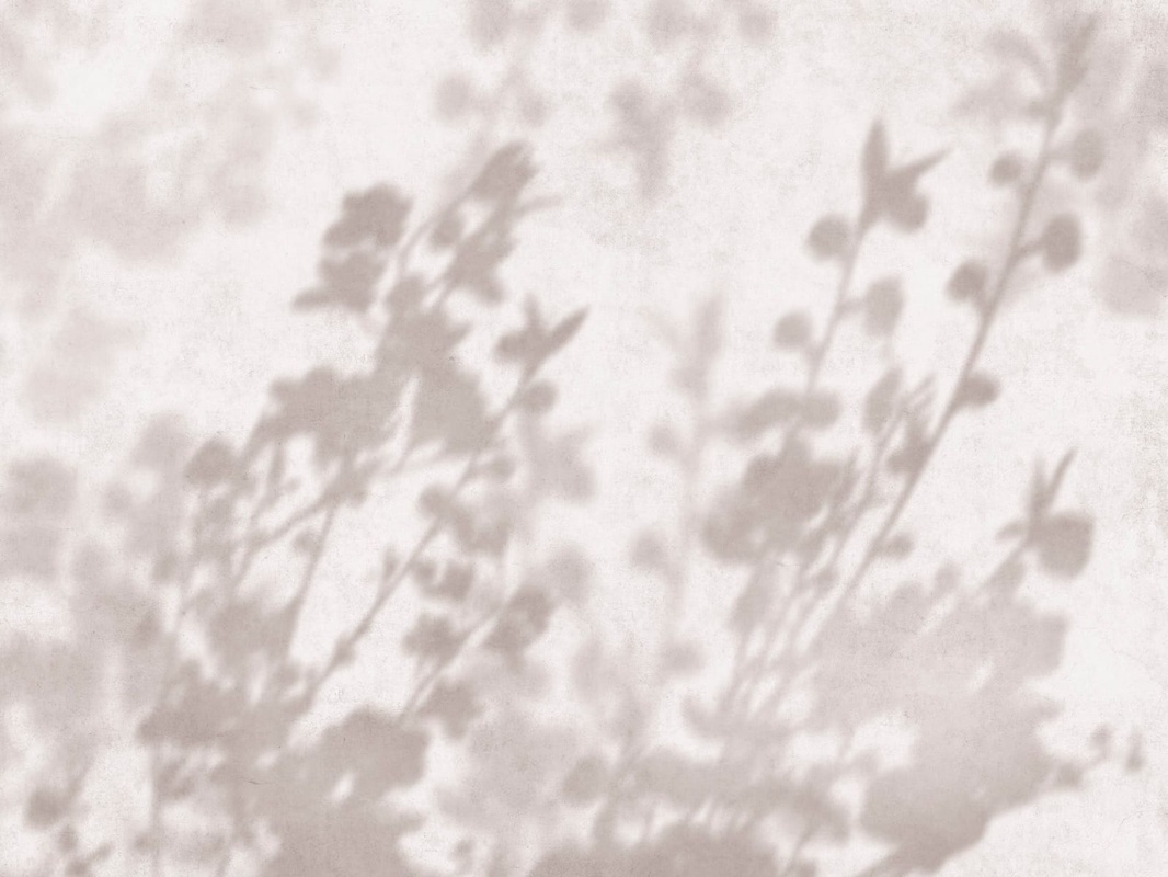 Фотообои и фрески на стену - современные, ветки, тени деревьев, бежевые