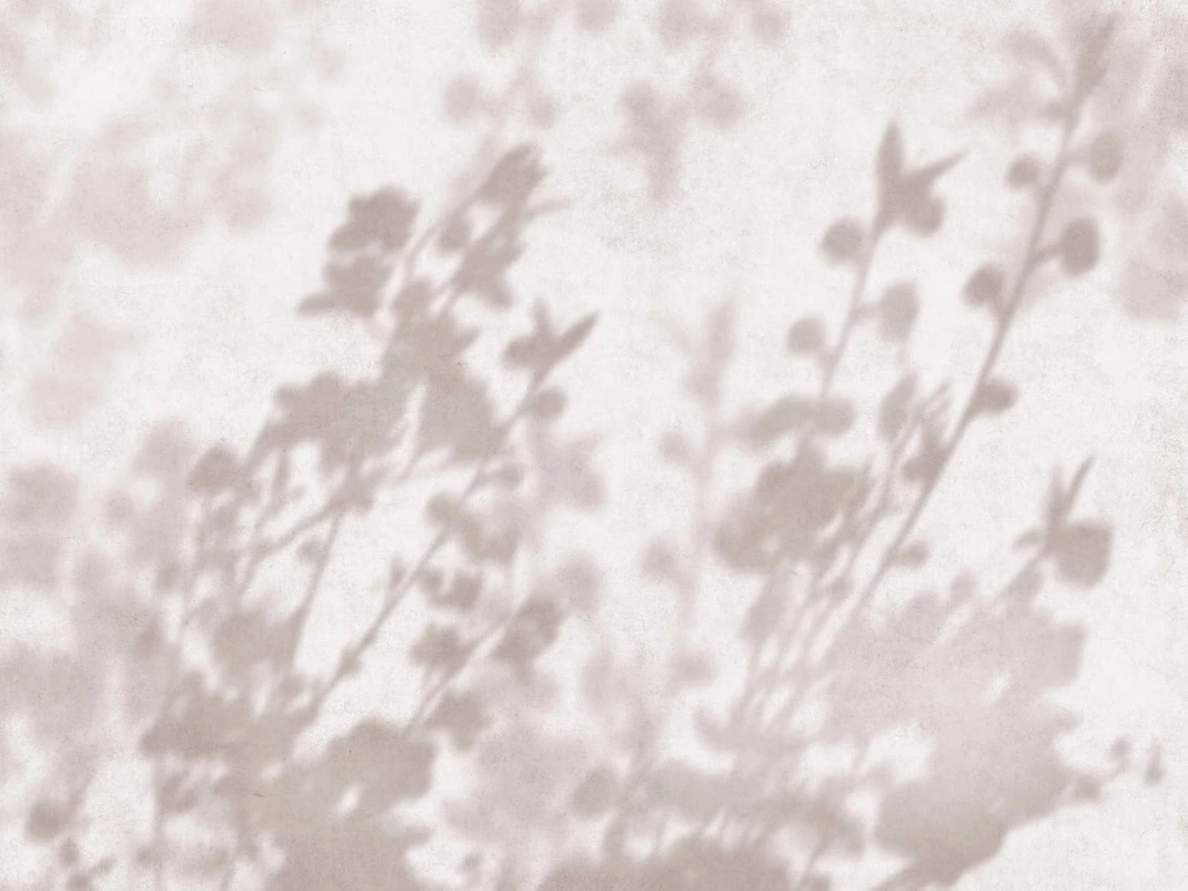 Фотообои и фрески на стену - современные, ветки, тени деревьев, бежевые