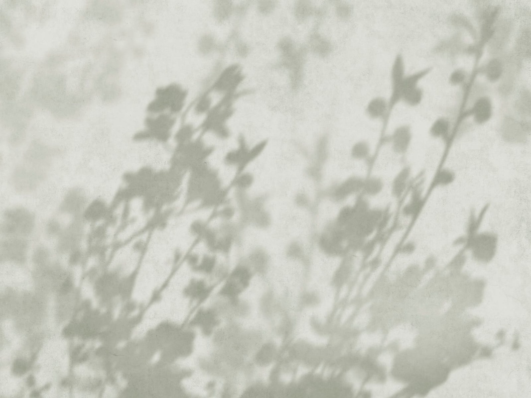 Фотообои и фрески на стену - современные, ветки, тени деревьев, серо-зеленые