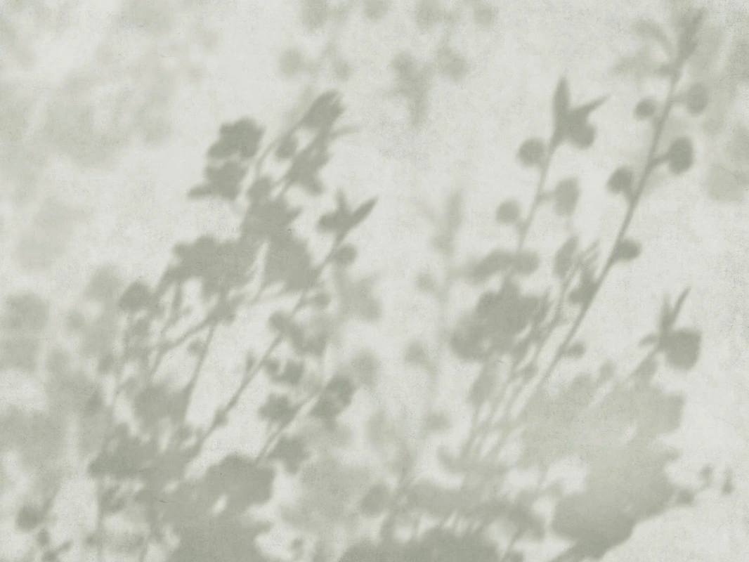 Фотообои на стену - современные, ветки, тени деревьев, серо-зеленые