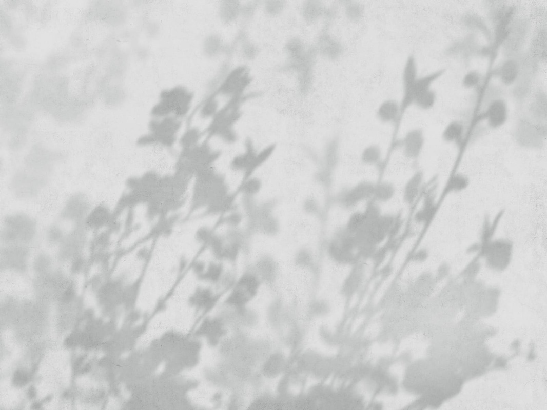 Фотообои на стену - современные, ветки, тени деревьев, серо-голубые