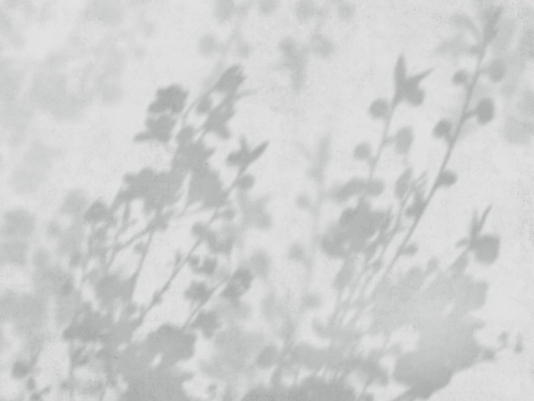 Фотообои на стену - современные, ветки, тени деревьев, серо-голубые