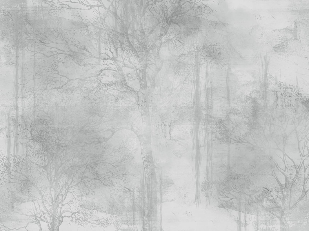 Фотообои и фрески на стену - современные, графика, лес в тумане, деревья, парк, серая