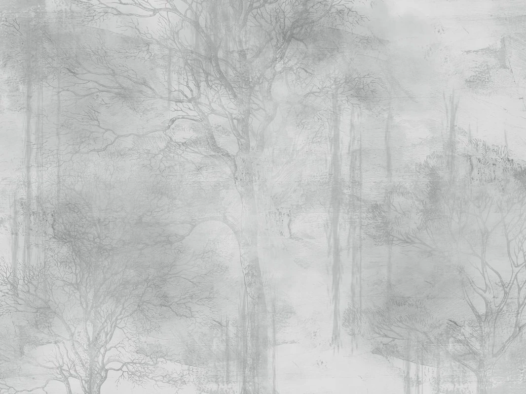 Фотообои и фрески на стену - современные, графика, лес в тумане, деревья, парк, серая