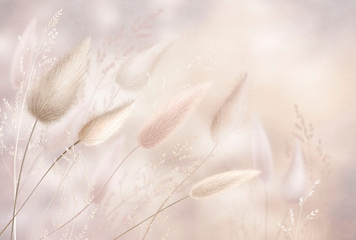 Фотообои и фрески на стену - современные, бежевые, крупные, трава