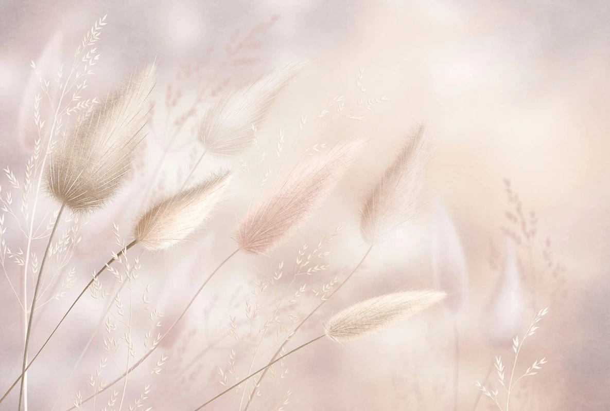 Фотообои и фрески на стену - современные, бежевые, крупные, трава