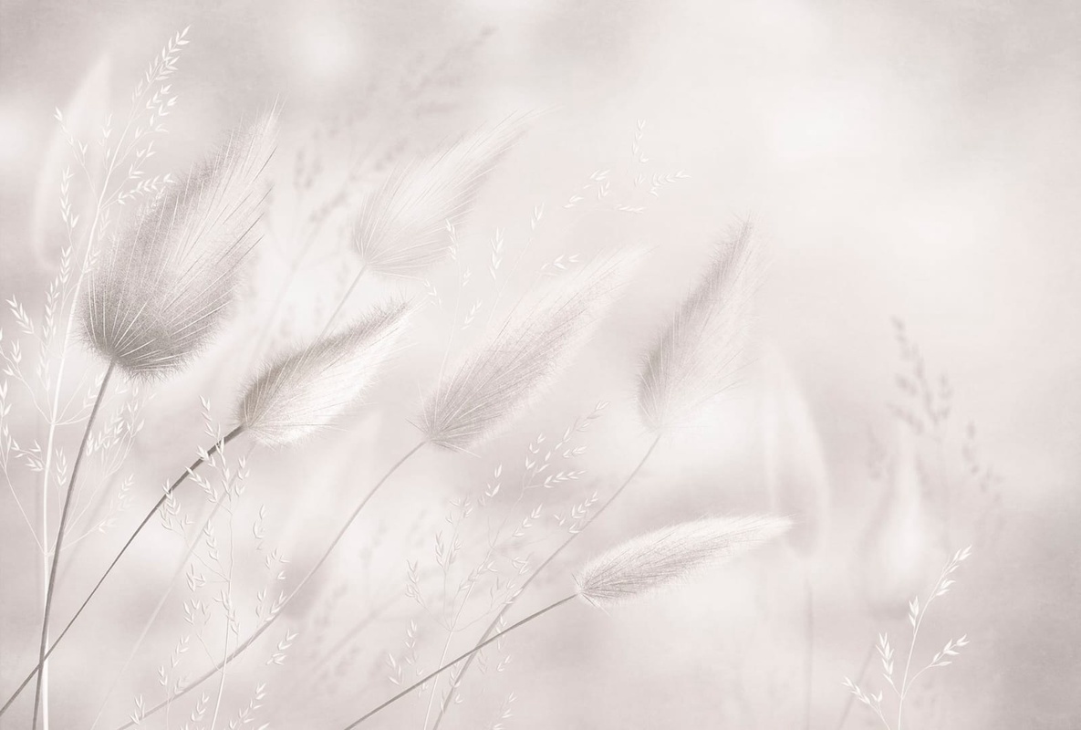 Фотообои и фрески на стену - современные, светло бежевые, крупные, трава