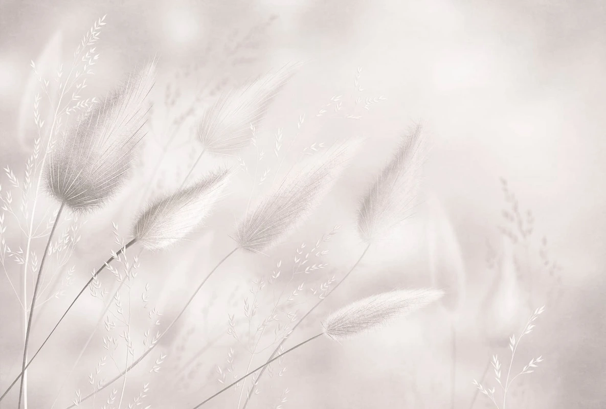 Фотообои на стену - современные, светло бежевые, крупные, трава